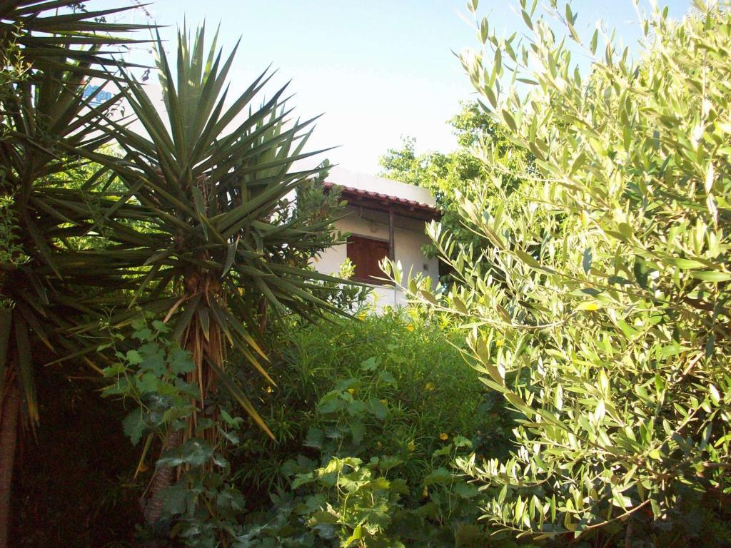 Caviri Apartment Галисас Стая снимка