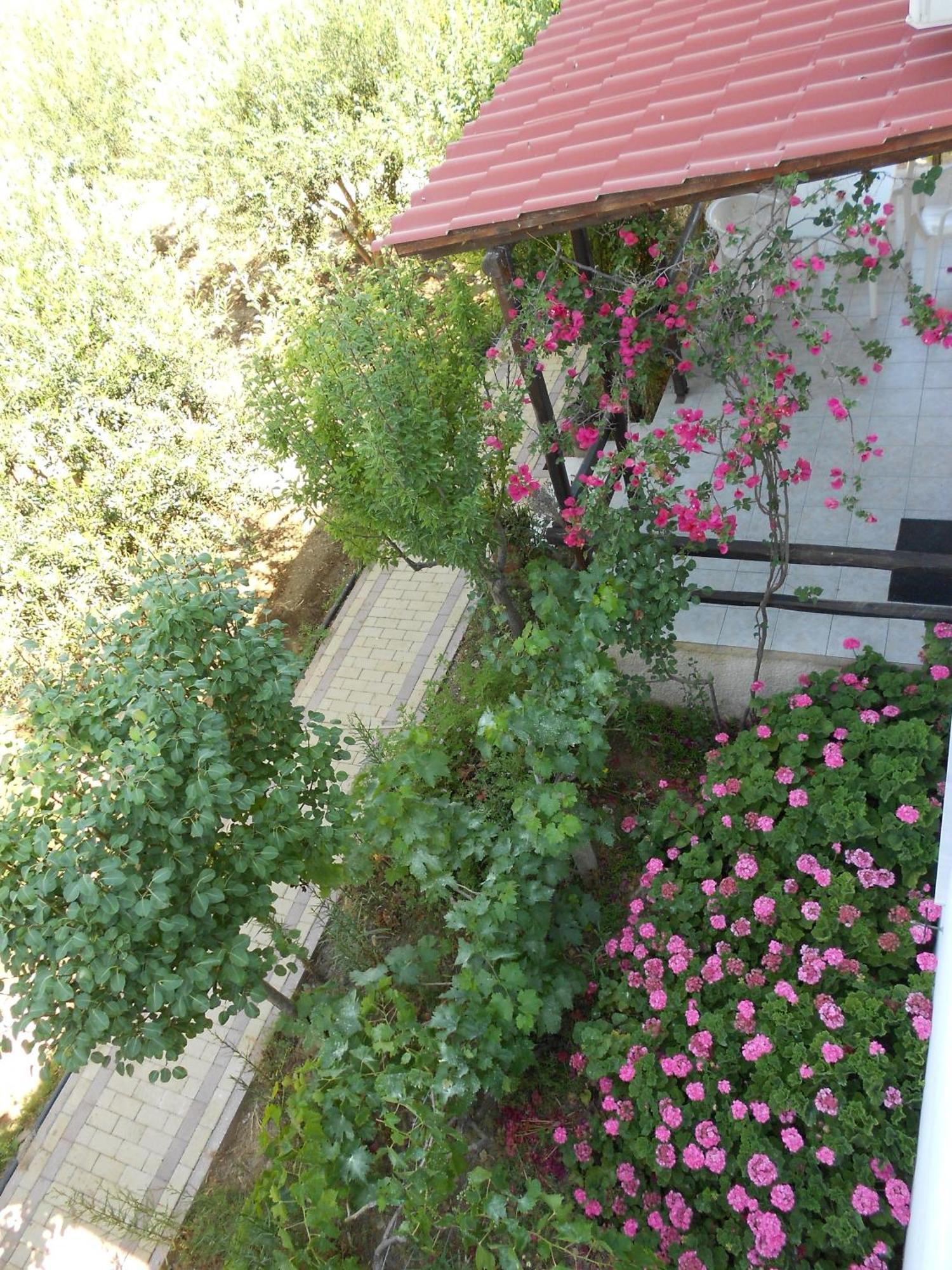 Caviri Apartment Галисас Екстериор снимка